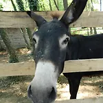 Alloggio per agriturismo I Benandanti