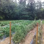 Alloggio per agriturismo I Benandanti Treppo Grande