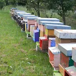 Alloggio per agriturismo I Benandanti *