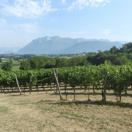 Farm stay I Benandanti