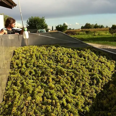 팜스테이 I Benandanti *