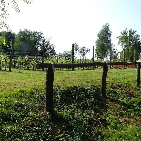 팜스테이 I Benandanti