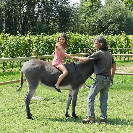 팜스테이 I Benandanti Treppo Grande