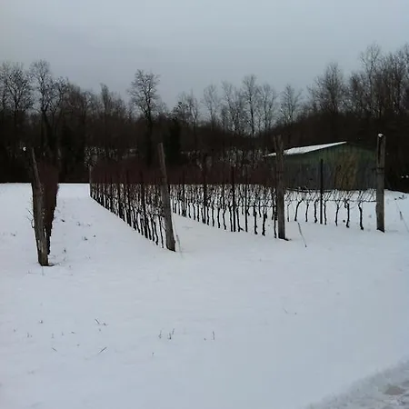 Farma I Benandanti