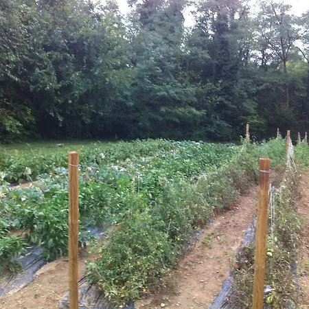 Farm stay I Benandanti Treppo Grande