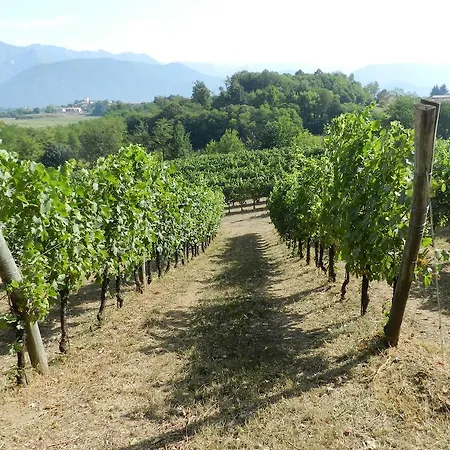 팜스테이 I Benandanti