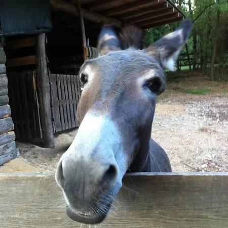 I Benandanti Treppo Grande