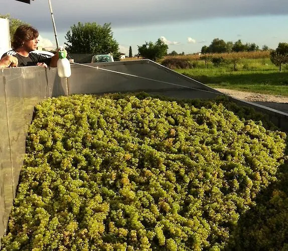 Farmház I Benandanti *