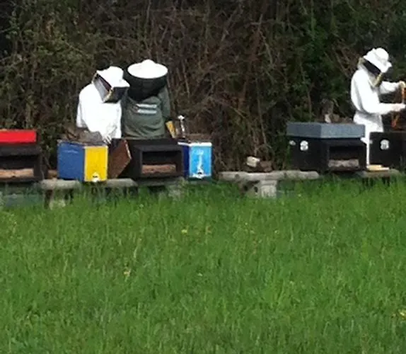 I Benandanti Treppo Grande