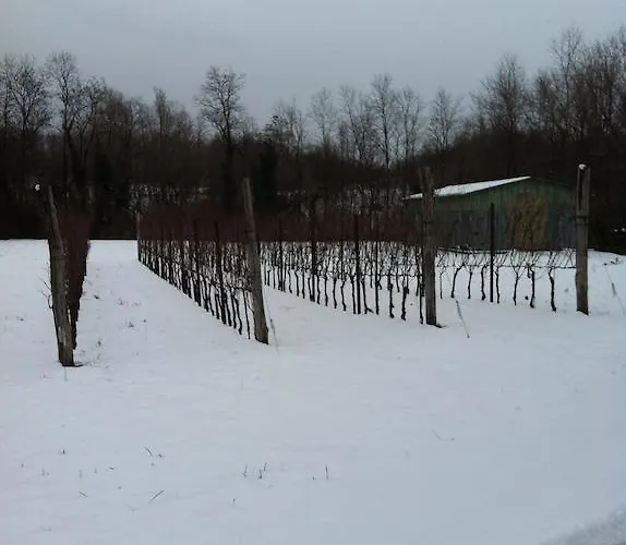 Farmház I Benandanti