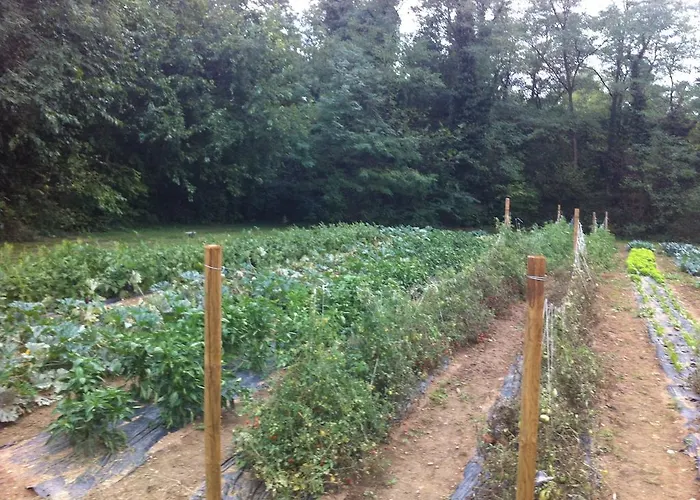 Farmház I Benandanti Treppo Grande