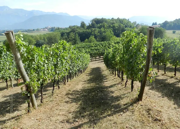 Farmház I Benandanti