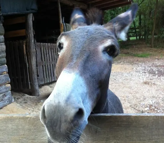 I Benandanti Treppo Grande